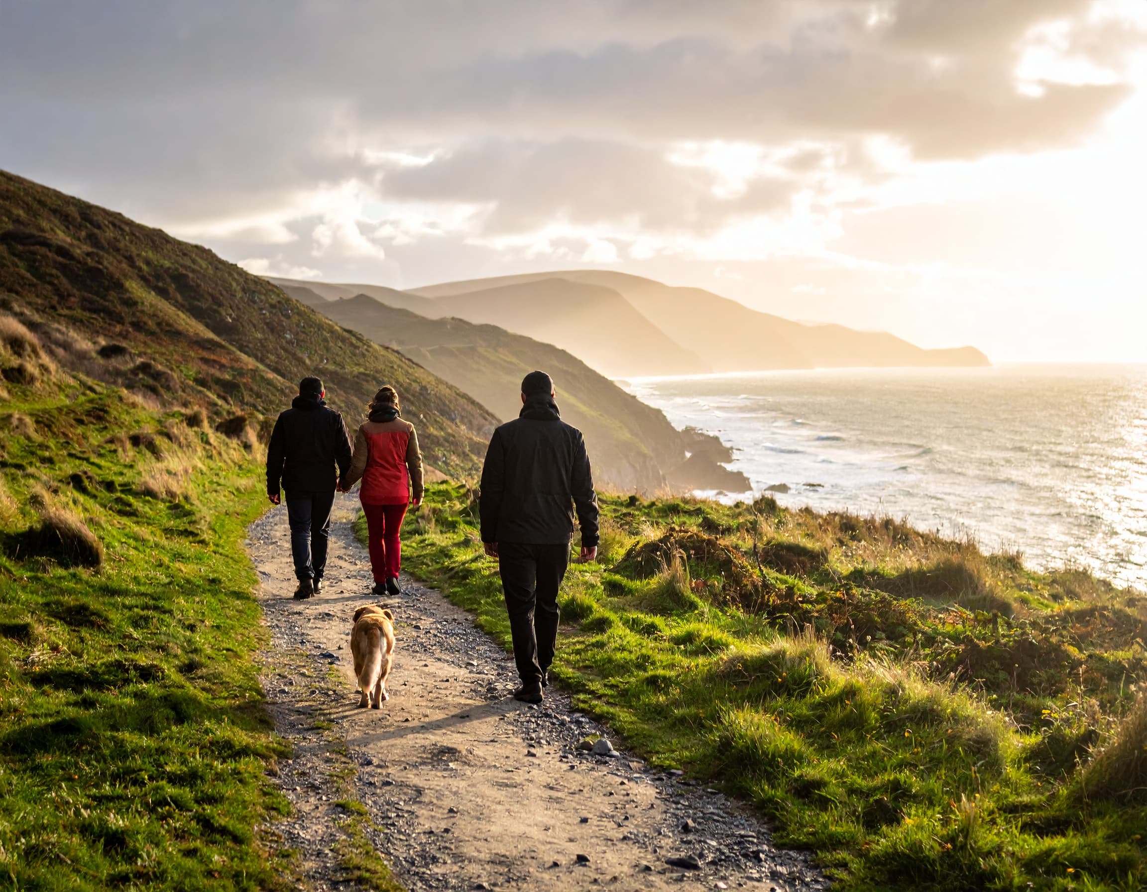 Dog Friendly Adventures