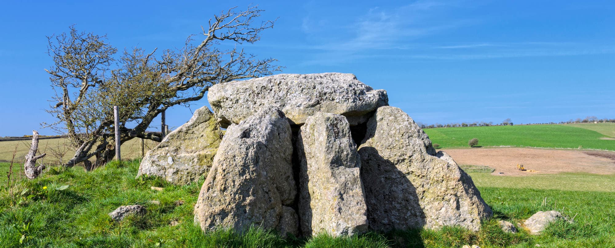 Rachel D.'s experience on Dorset Ridgeway Path